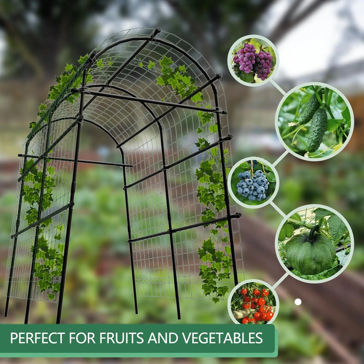 Sturdy Metal Garden Arch Trellis For Climbing Vegetable Plants