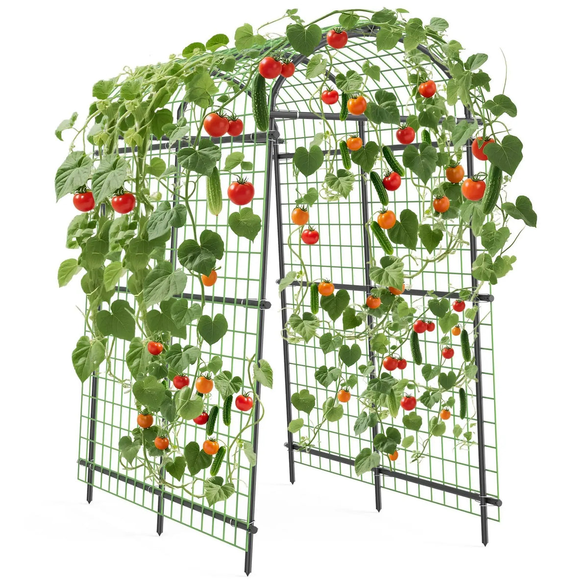 Sturdy Metal Garden Arch Trellis For Climbing Vegetable Plants