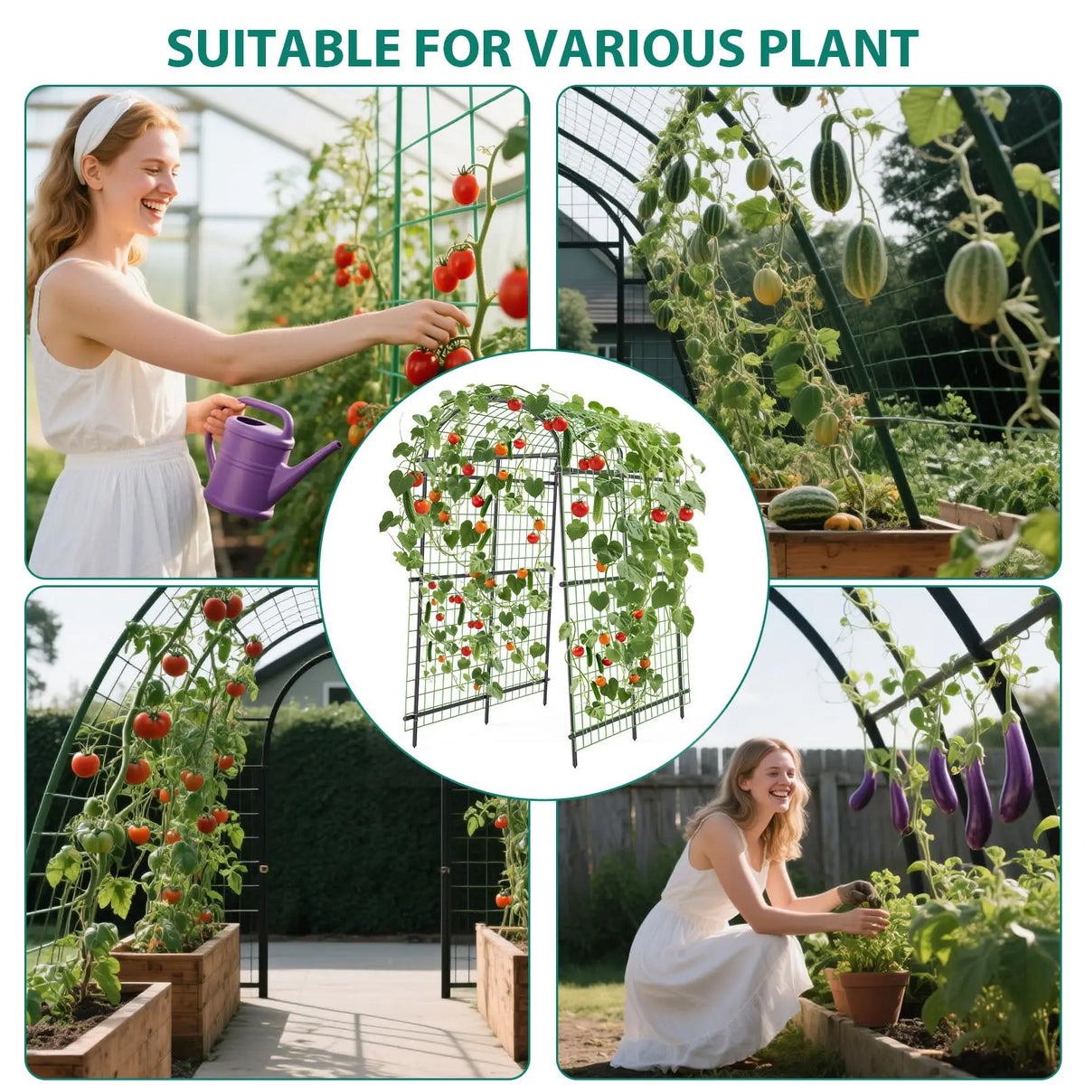 Sturdy Metal Garden Arch Trellis For Climbing Vegetable Plants