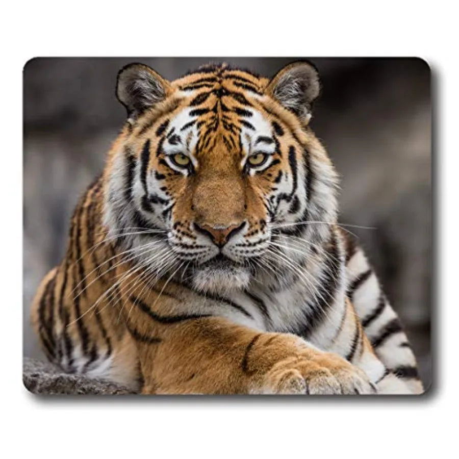 Sunset Wooden Pier Mouse Pad with Non Slip Rubber Base