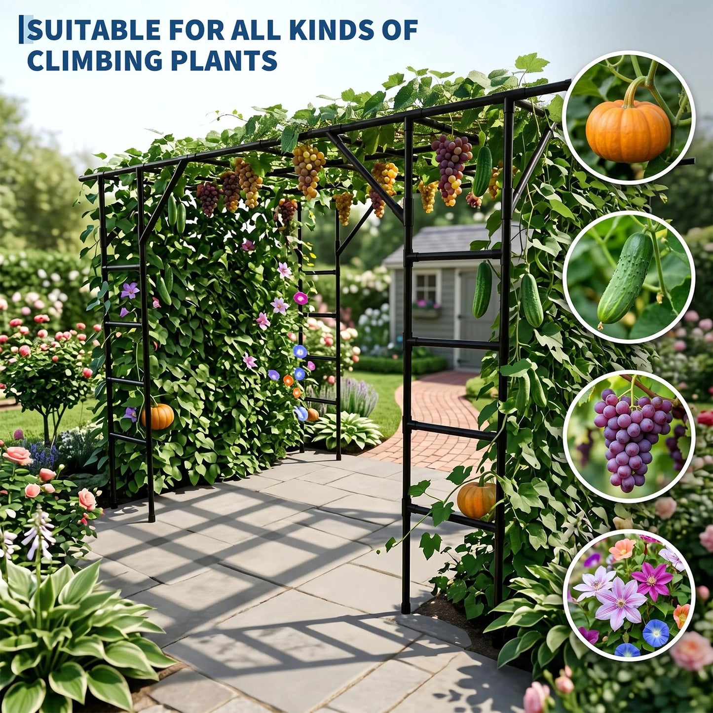 HiMISS Garden Arch Trellis Heavy Duty Metal For Climbing Plants